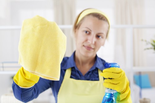 Upholstery cleaning for sofas and chairs in Barnet homes