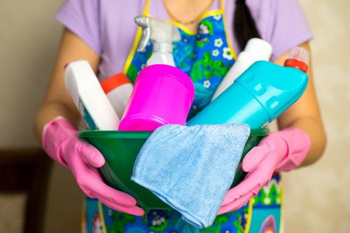 Professional sofa cleaning service for Barnet homes