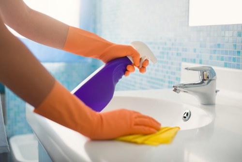 Detailed cleaning of oven shelves and interior surfaces
