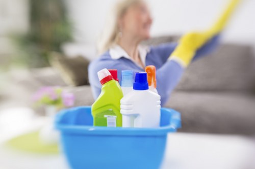 Residential window cleaning service for a Barnet conservatory