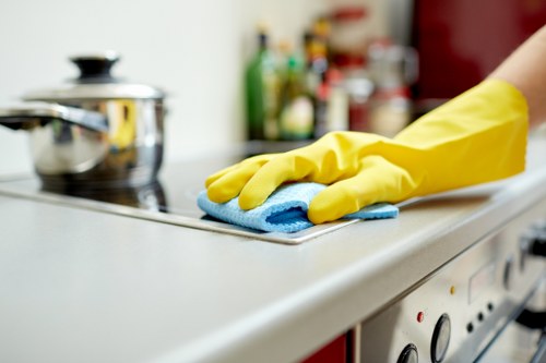 Deep oven cleaning for a home in Barnet