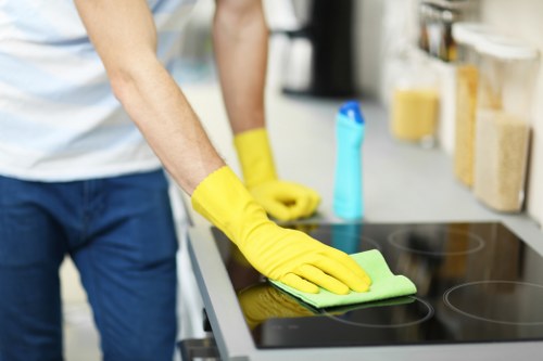 Cleaner removing grease and burnt residue from an oven