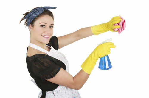 Carpet cleaning equipment used in a Barnet home or office