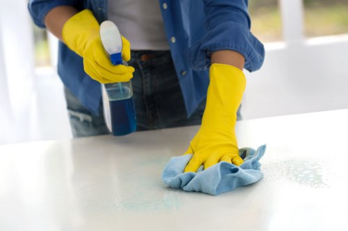 Professional cleaning team working in a Barnet property
